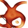 il