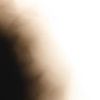 il
