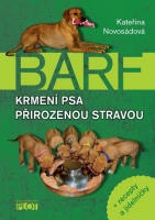 kniha