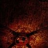 il