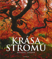 kniha