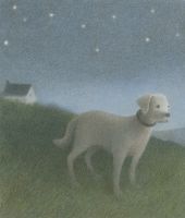 il