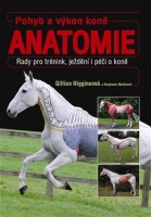 kniha