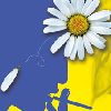 il