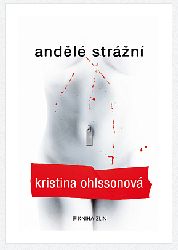 kniha