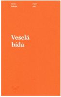 kniha