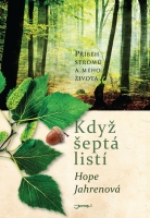 kniha