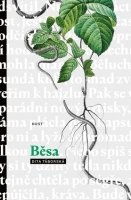 kniha
