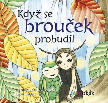 kdyz-se-broucek-probudil