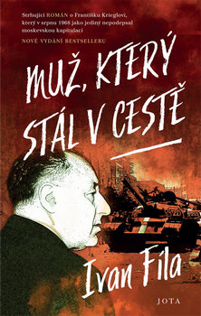 muz-ktery-stal-v-ceste