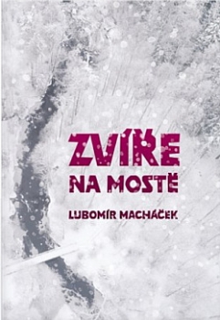 kniha